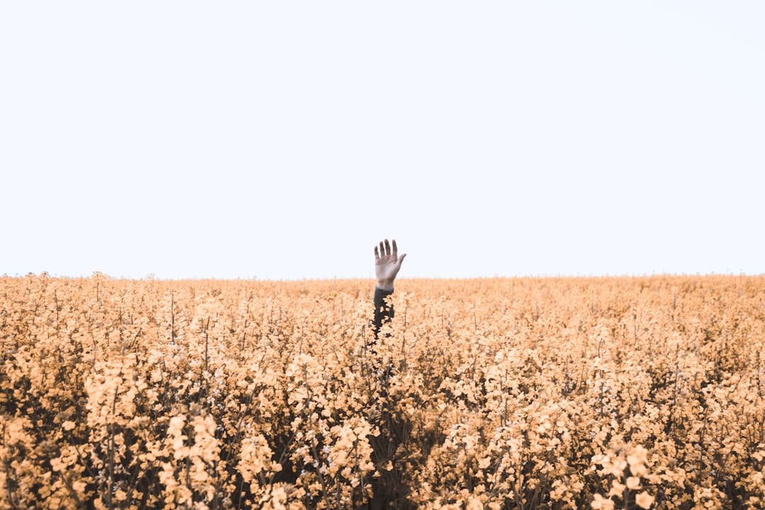 Lost and Found