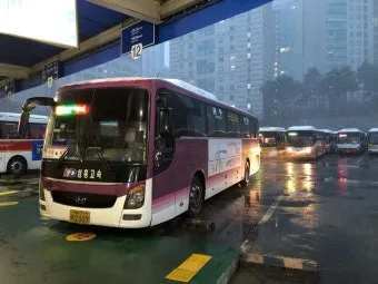 부여시외버스터미널 시간표 예매 주차장 맛집까지 총정리_5
