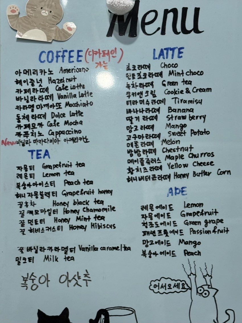 대구 고양이 카페