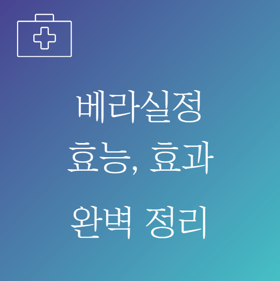 베라실정