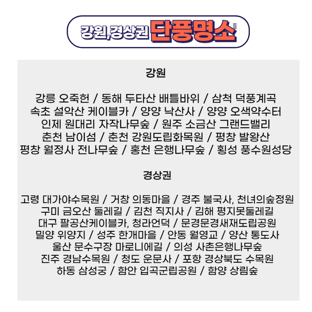 강원 경상권 단풍명소 리스트