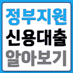 정부지원신용대출00