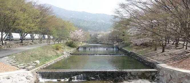 고산자연휴양림