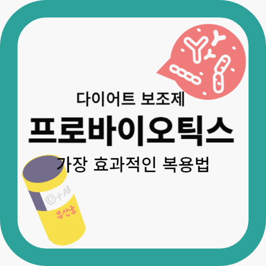 프로바이오틱스유산균먹는법