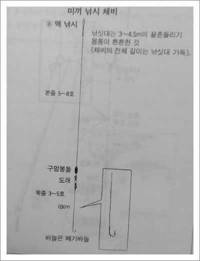  가물치의 강 낚시