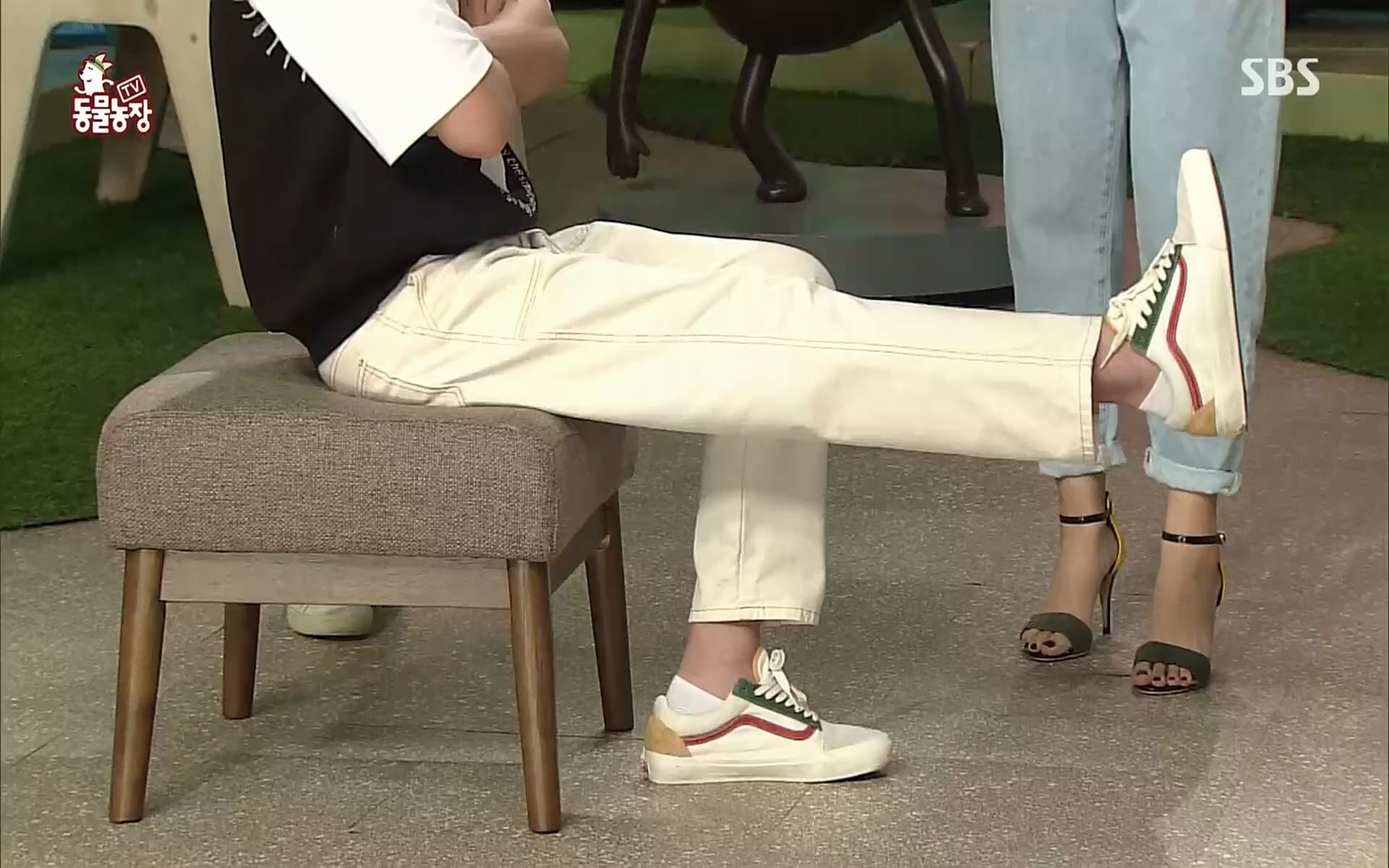 TV 동물농장.E1077.220710p.H264-F1RST.mp4_20220710_175420.714.jpg