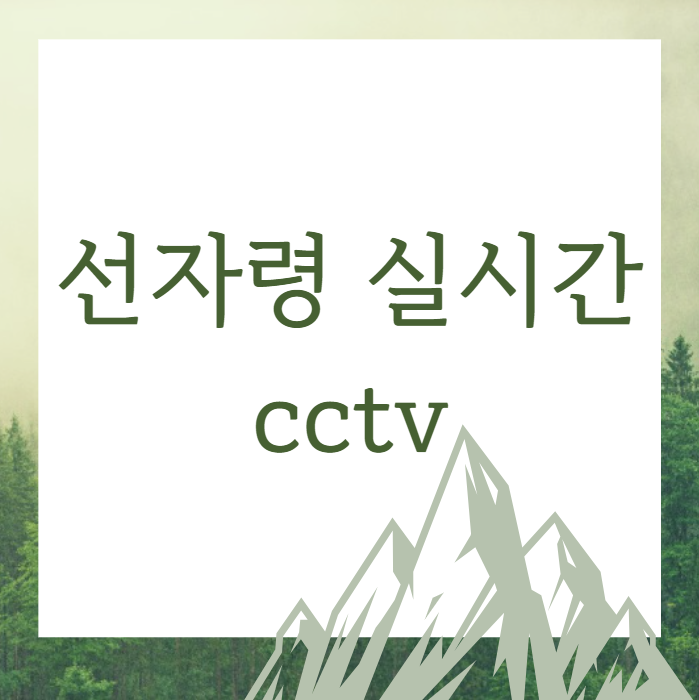  선자령 실시간 cctv (선자령 등산코스)