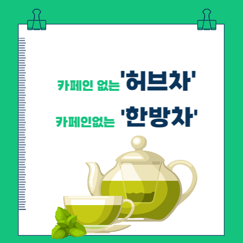  카페인 없는 차(허브차, 한방차)종류 정리