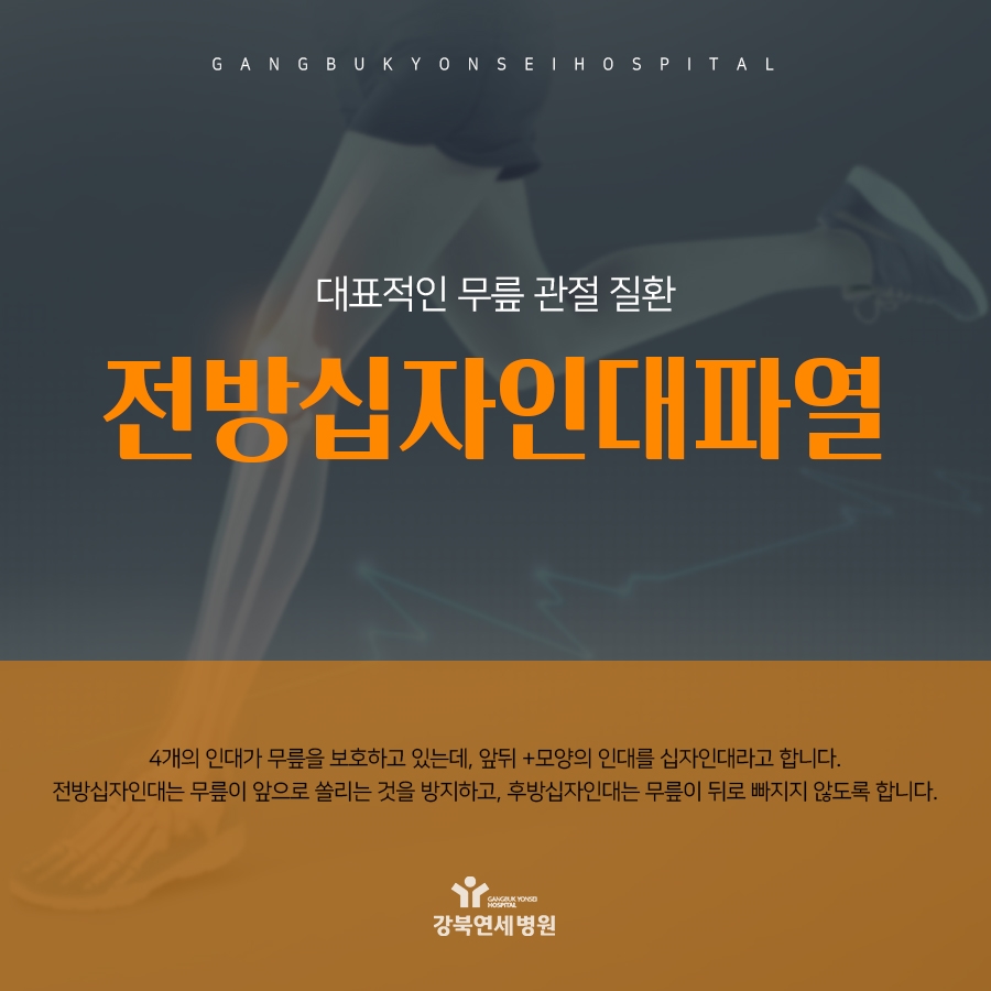 두 가닥 복원술 전방십자인대재건술 안정성을 높인 3