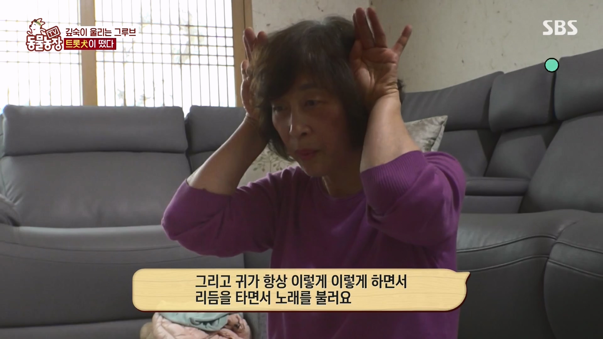 TV 동물농장.E1166.240407p-NEXT.mp4_20240407_164500.862.jpg