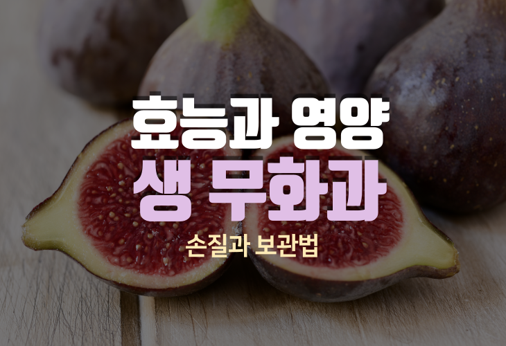  생무화과의 영양성분과 먹는 방법 칼로리