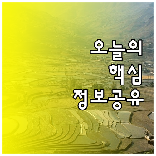 하이데라바드 호텔 6곳 비교 분석 최