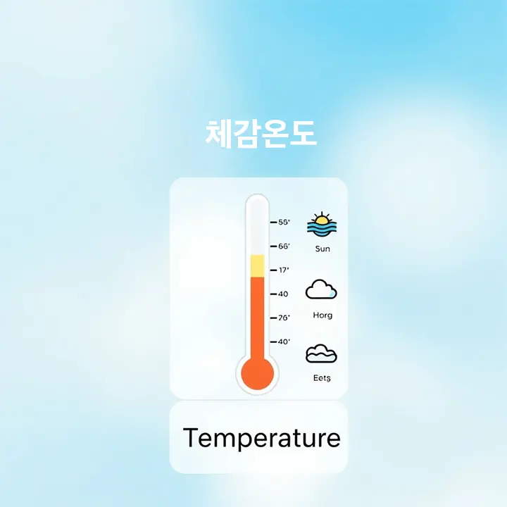 날씨 체감온도 기준, 누가 어떻게 정하는 걸까요