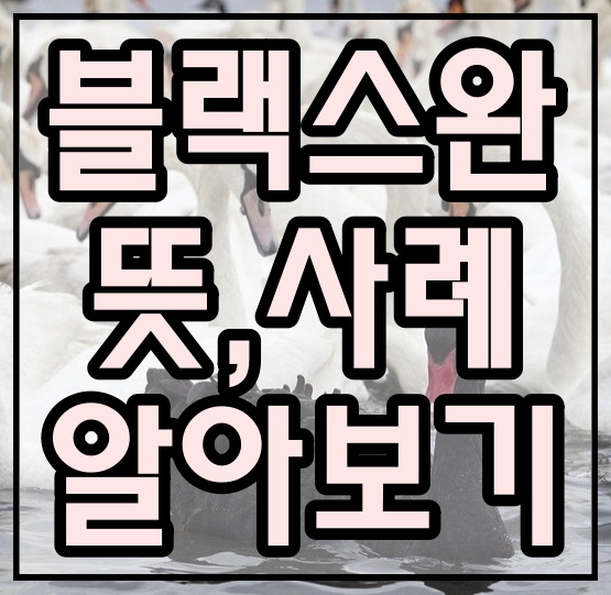  블랙스완 이론 의미와 사례 알아보기