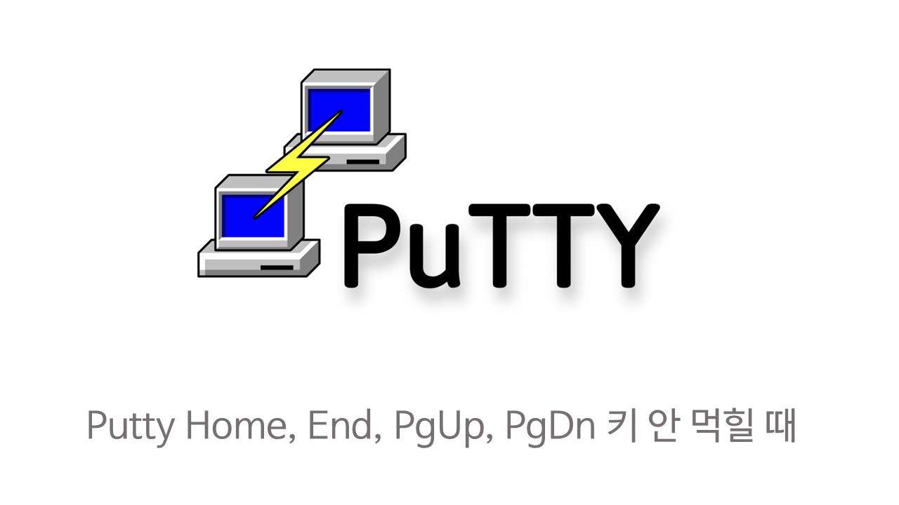  [Windows] Putty Home/End/PgUp/PgDn 키 입력 안될 때