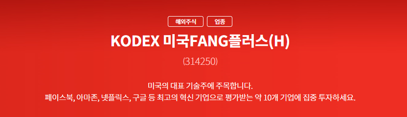  FANG플러스(H) ETF투자_314250