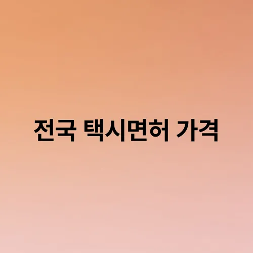 전국 택시면허 가격
