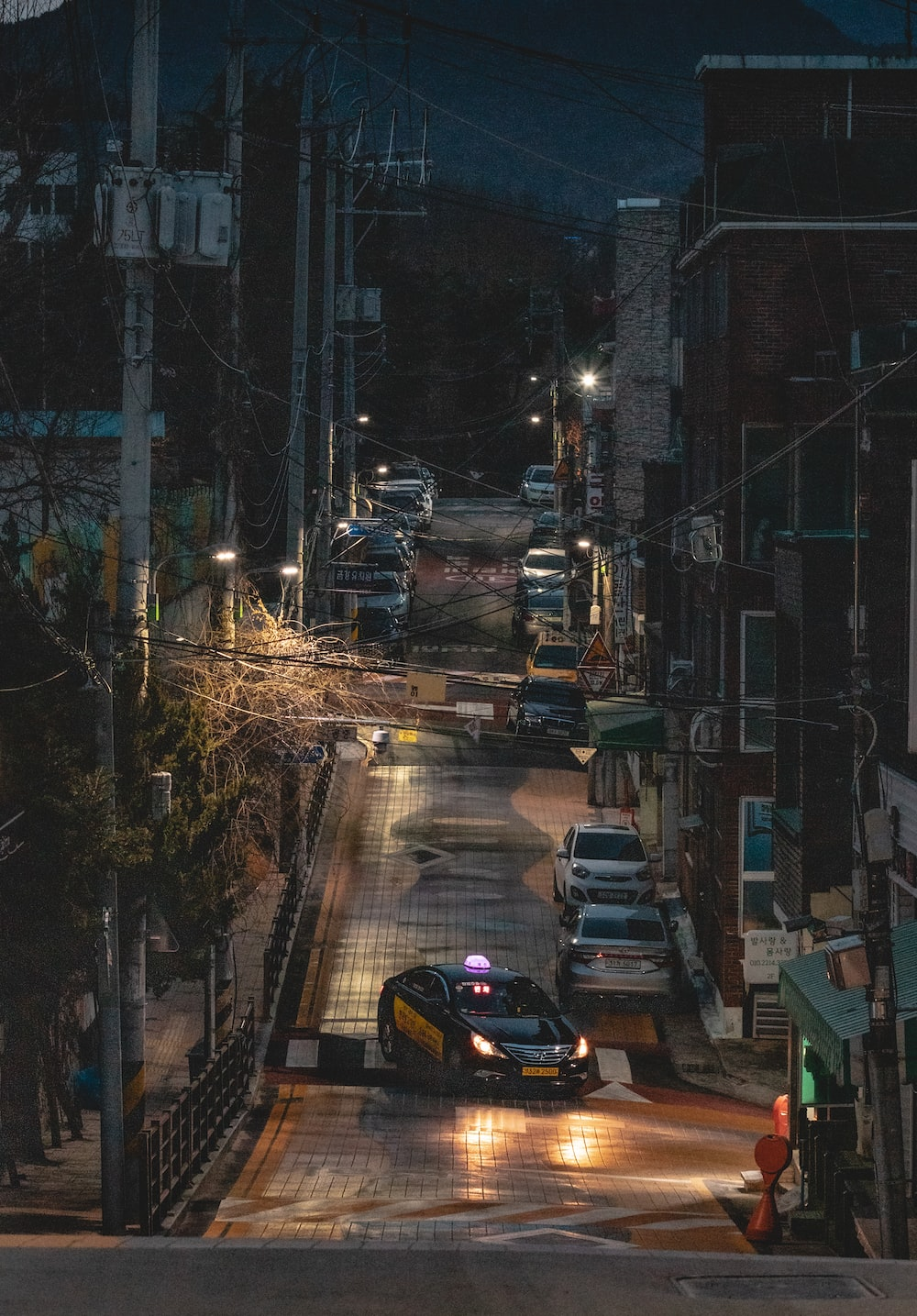  : 즐거운 자연과 휴식의 보금자리