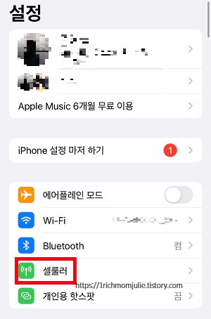 아이폰 - 설정에서 셀룰러 선택하기