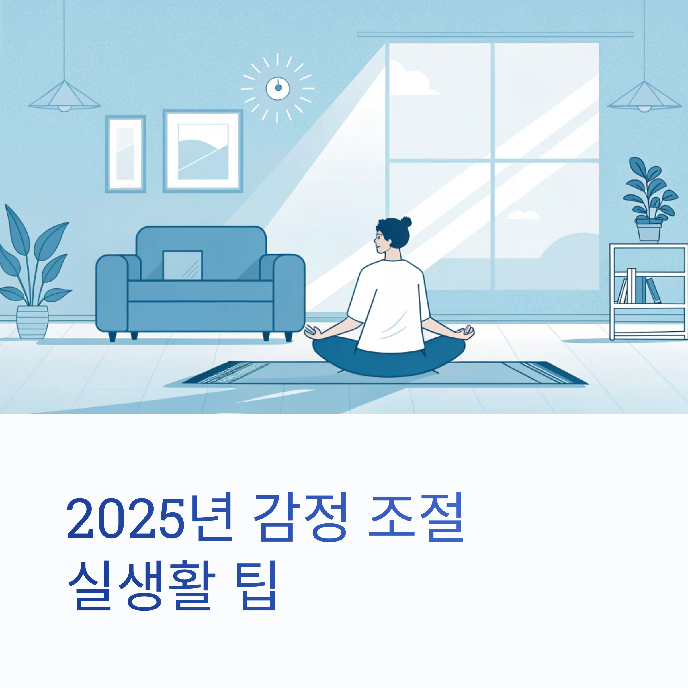감정조절 팁