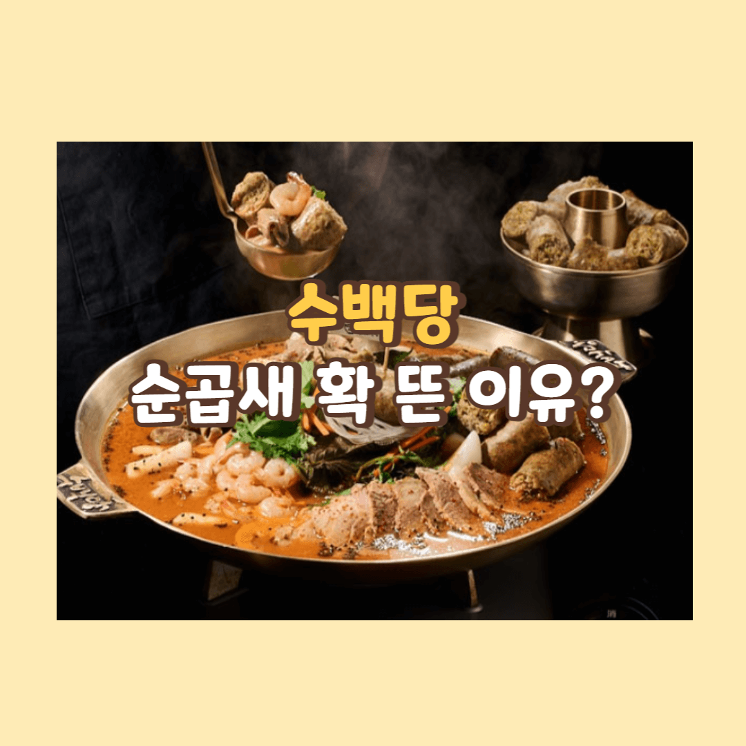 수백당 순곱새 확 뜬 이유