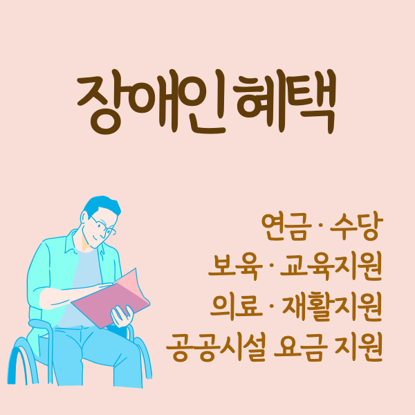 장애인 혜택, 장애 혜택