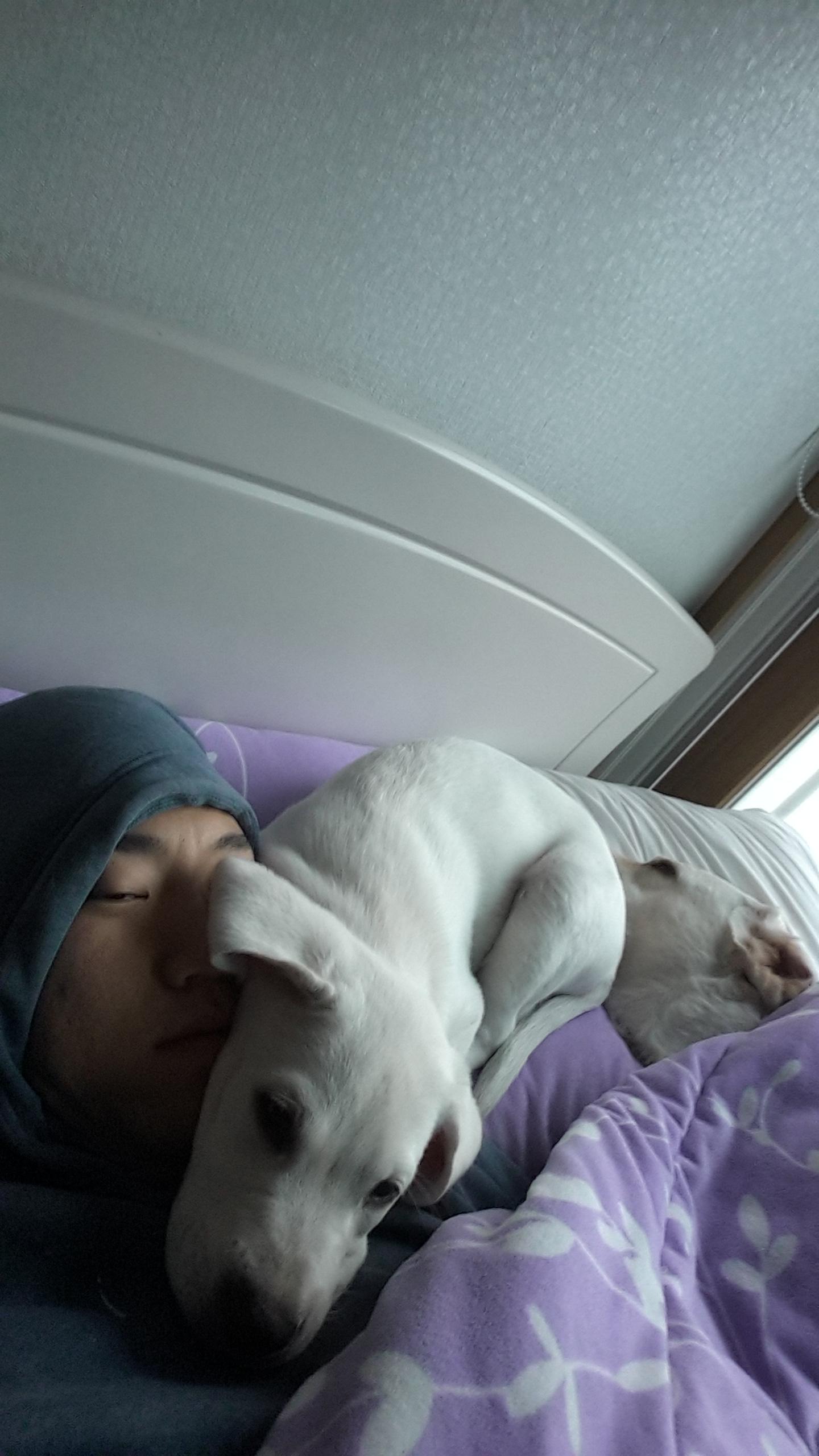 스물아홉 번째 페이지 - 두부 첫 산행