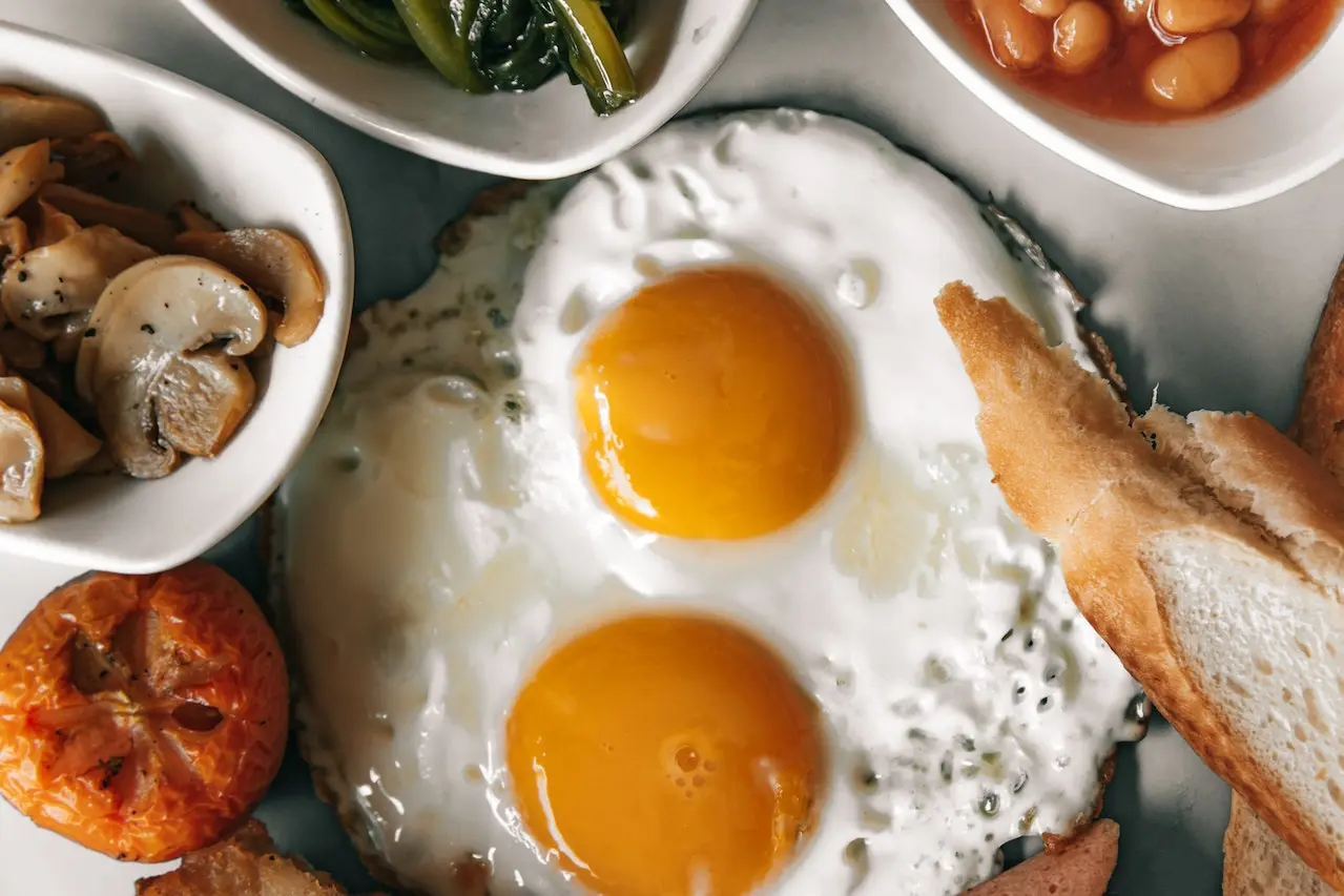 달걀 논쟁 종료! 하루 권장 계란 섭취량과 영양성분 정리