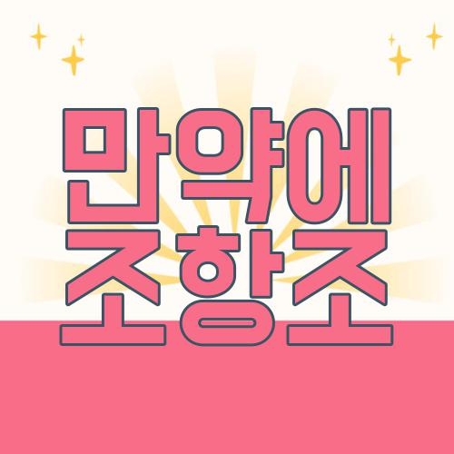 만약에 조항조
