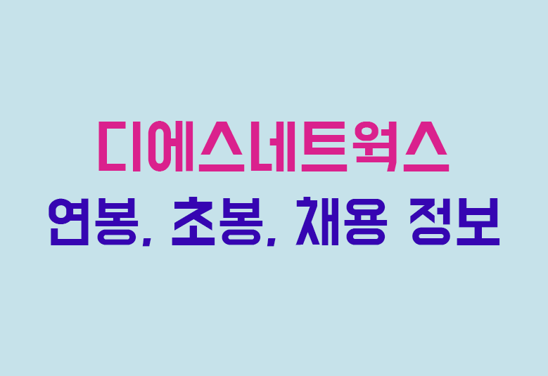디에스네트웍스 이미지