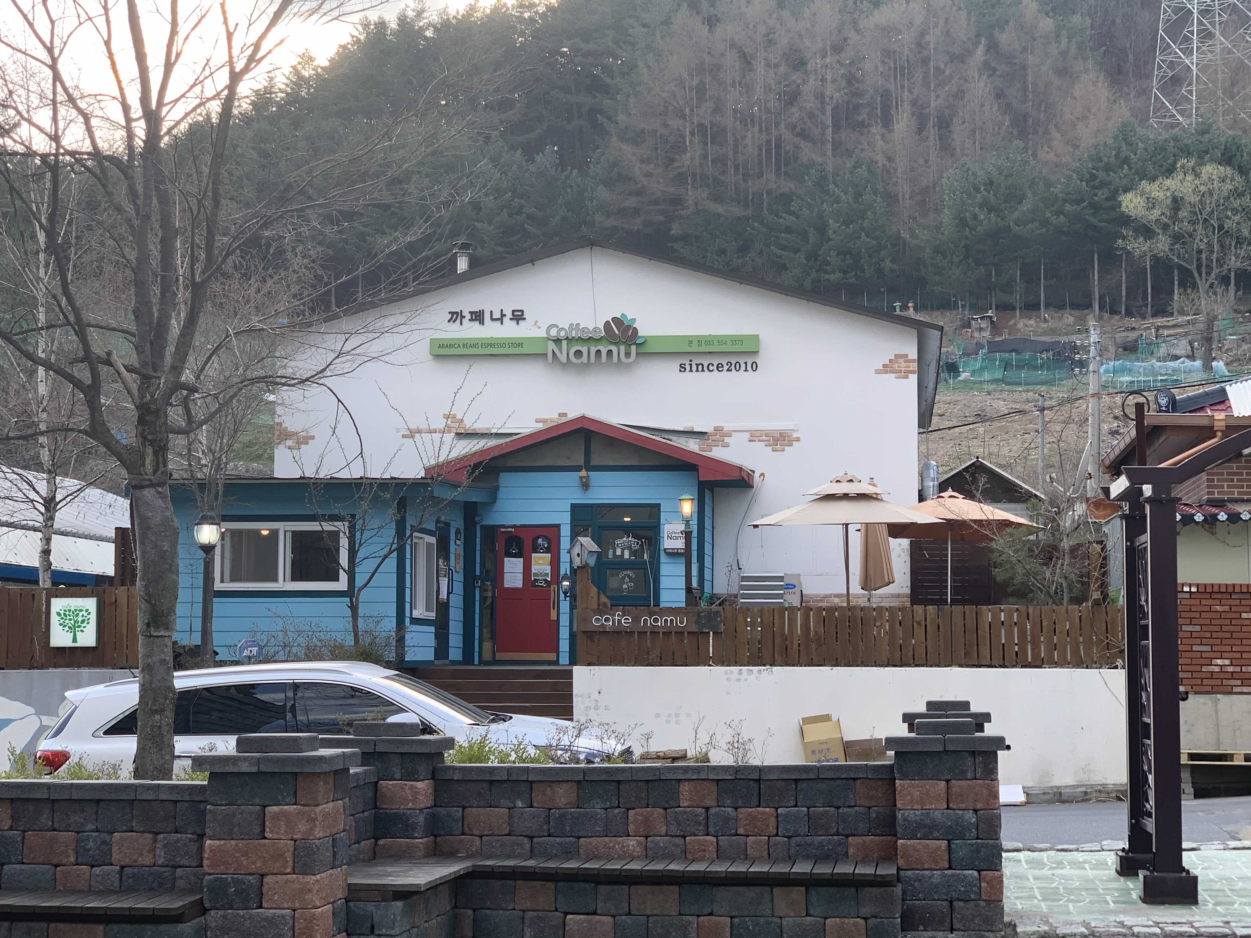 까페나무 이미지