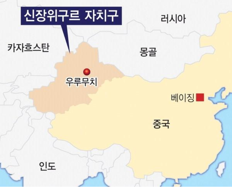  중국의 감시사회 (4) 톈왕, 신장 위구르 자치구에서의 탄압