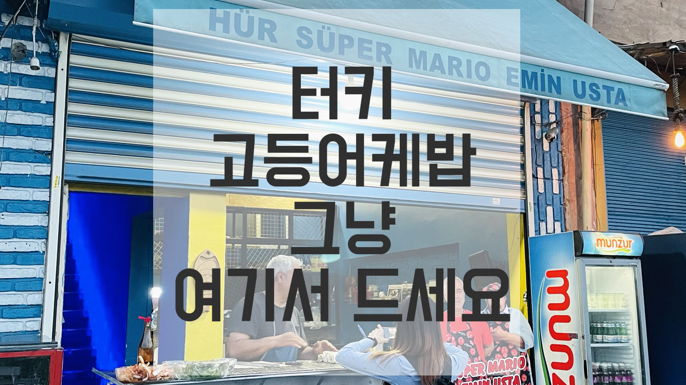  터키 고등어 케밥 에민 아저씨 초심 검증