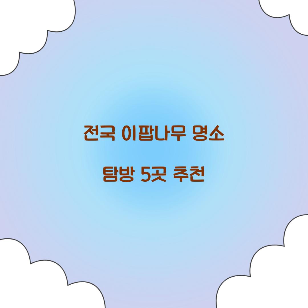 전국 이팝나무 명소