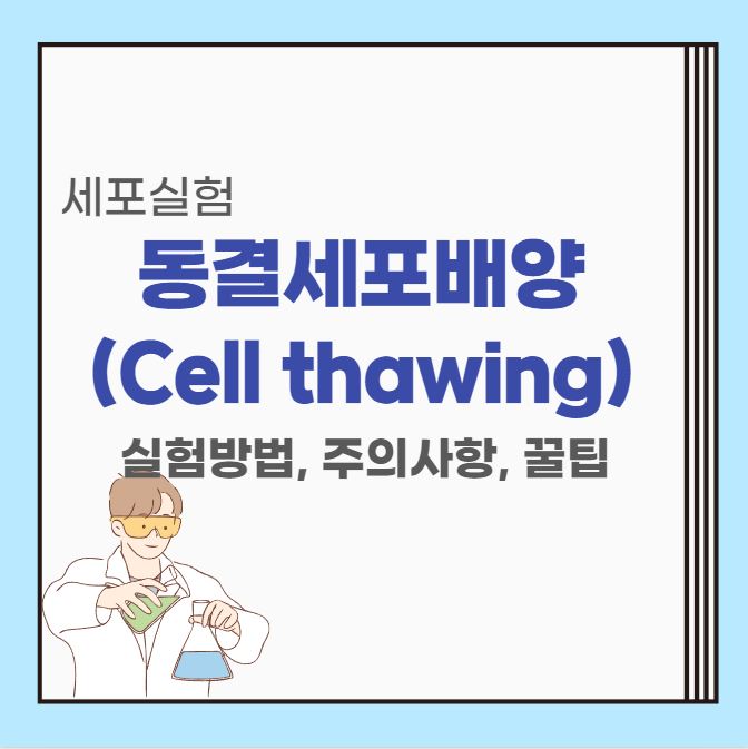  세포실험 | 동결세포 해동(Cell thawing protocol) 실험방법, 실험 시 주의사항, 꿀팁