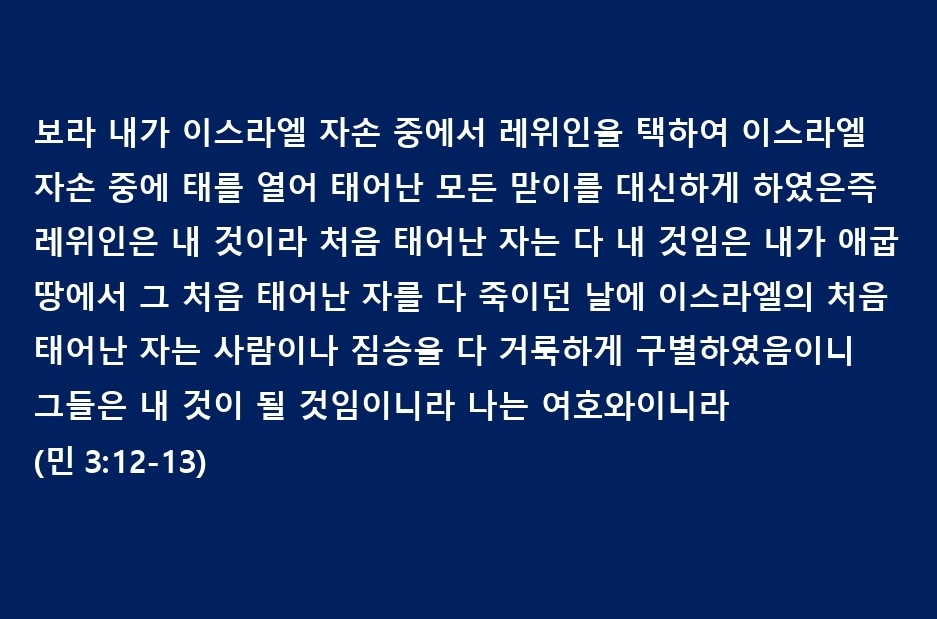 빌리지렌트카 이미지