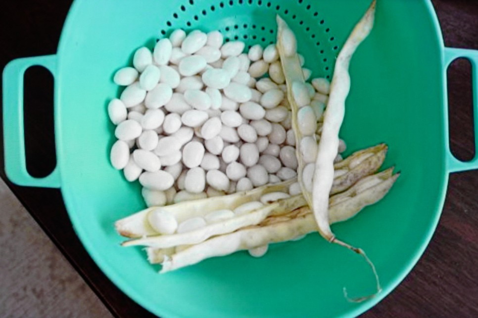 및 칼로리 흰강낭콩 효능 2