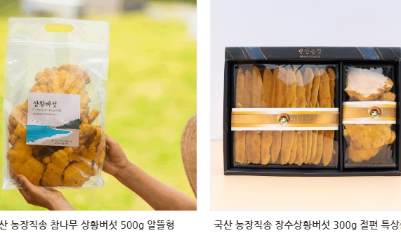 버섯놀이터변산농장 이미지