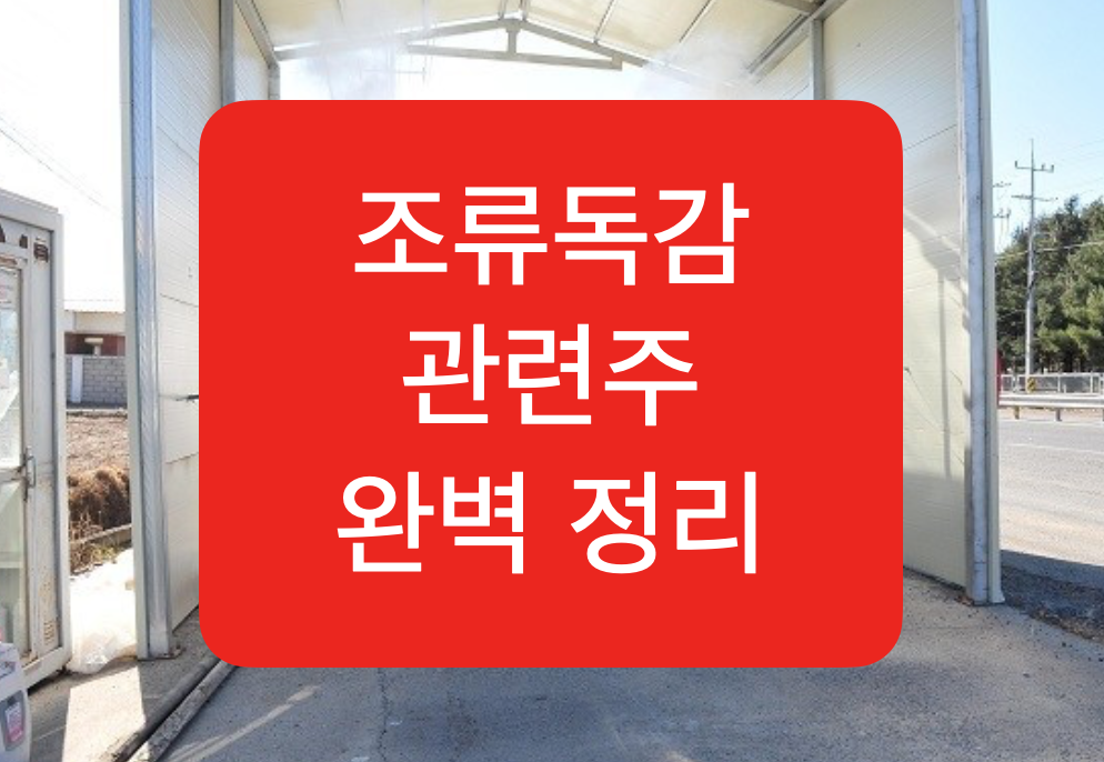  조류인플루엔자 독감 관련주 정리
