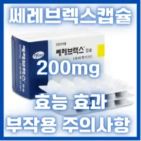 쎄레브렉스 캡슐 200mg 효능