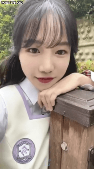 img.gif