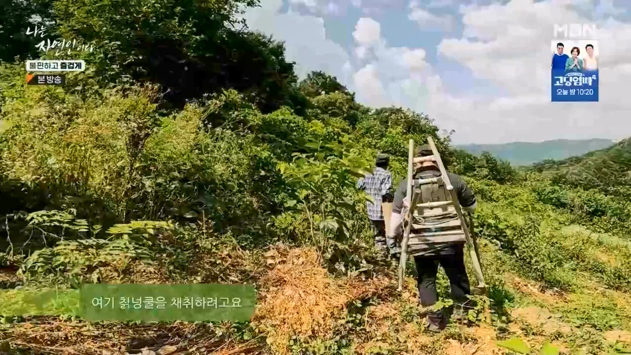 나는 자연인이다.E566.230810p.WANNA.mp4_20230810_202558.074.jpg