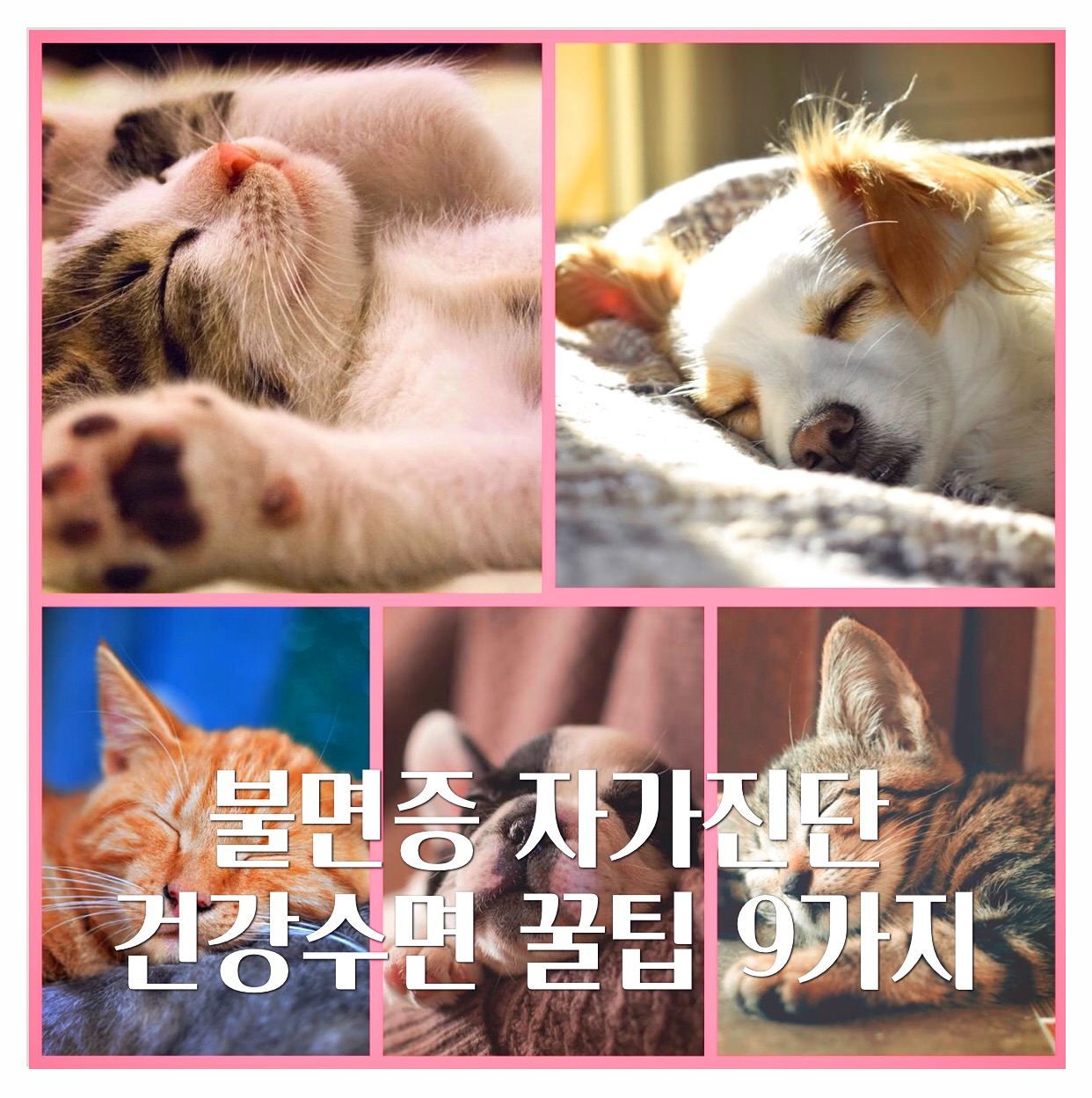  불면증 자가진단 과 건강수면 꿀팁 9가지