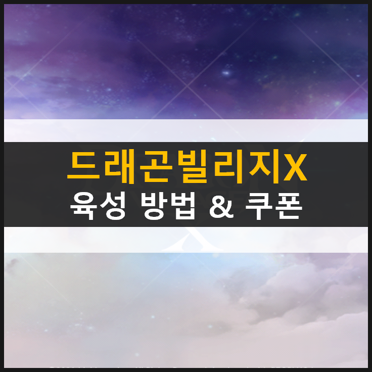  [드래곤 빌리지 X] 육성 및 SS등급 획득 방법 & 쿠폰