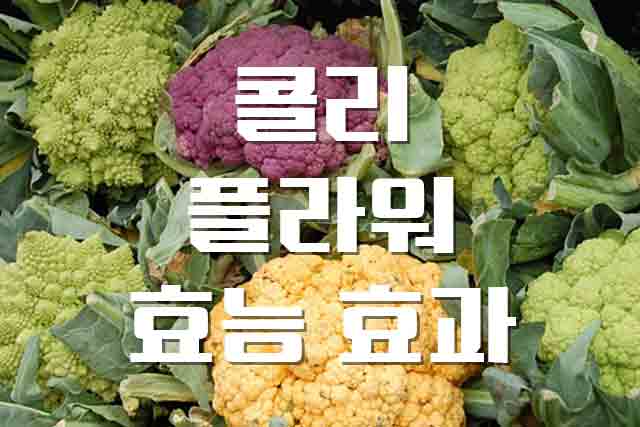  콜리플라워, 낮은 칼로리와 풍부한 영양의 효능