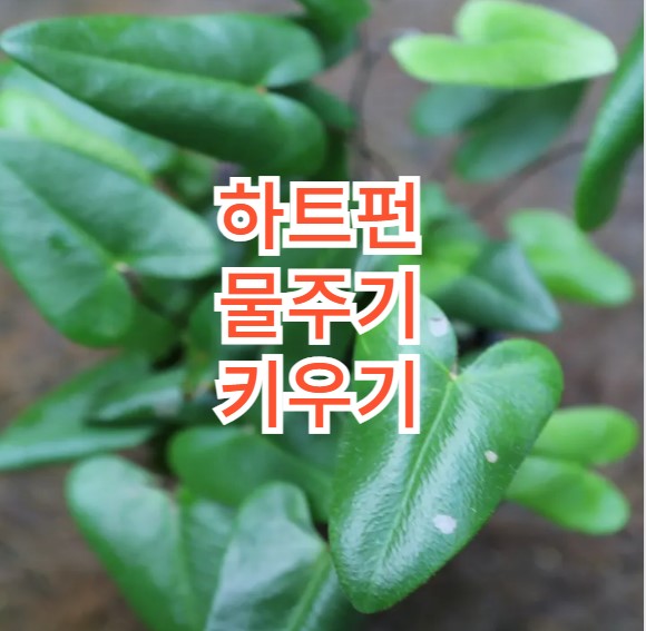 펀 이미지