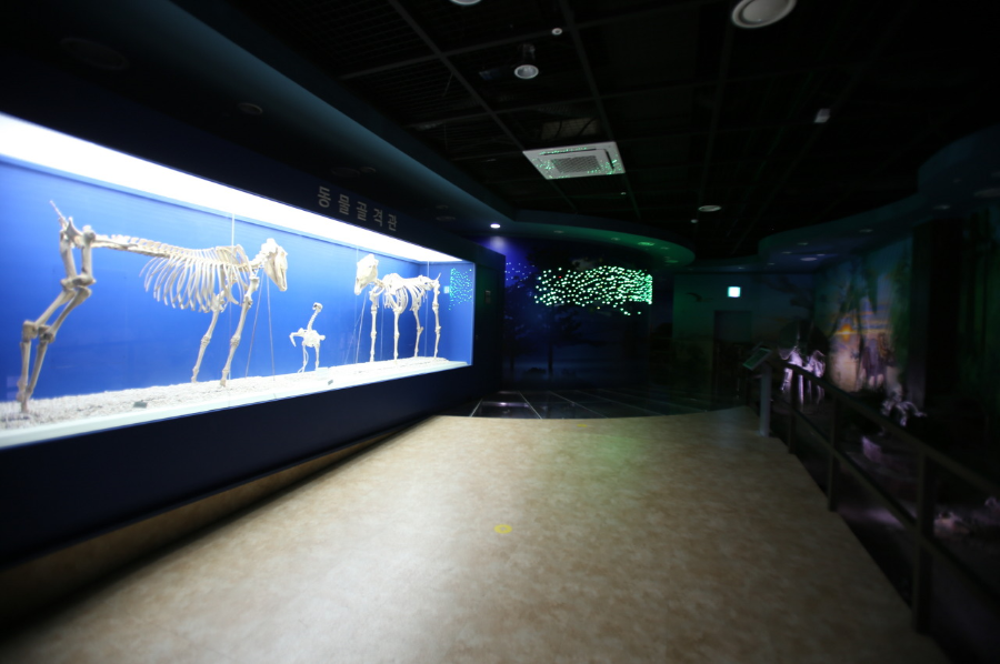 해양 어류전시관 화진포해양박물관