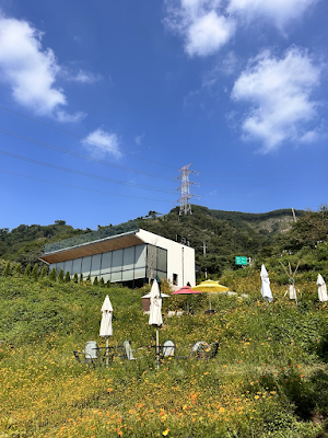 숲너울 카페
