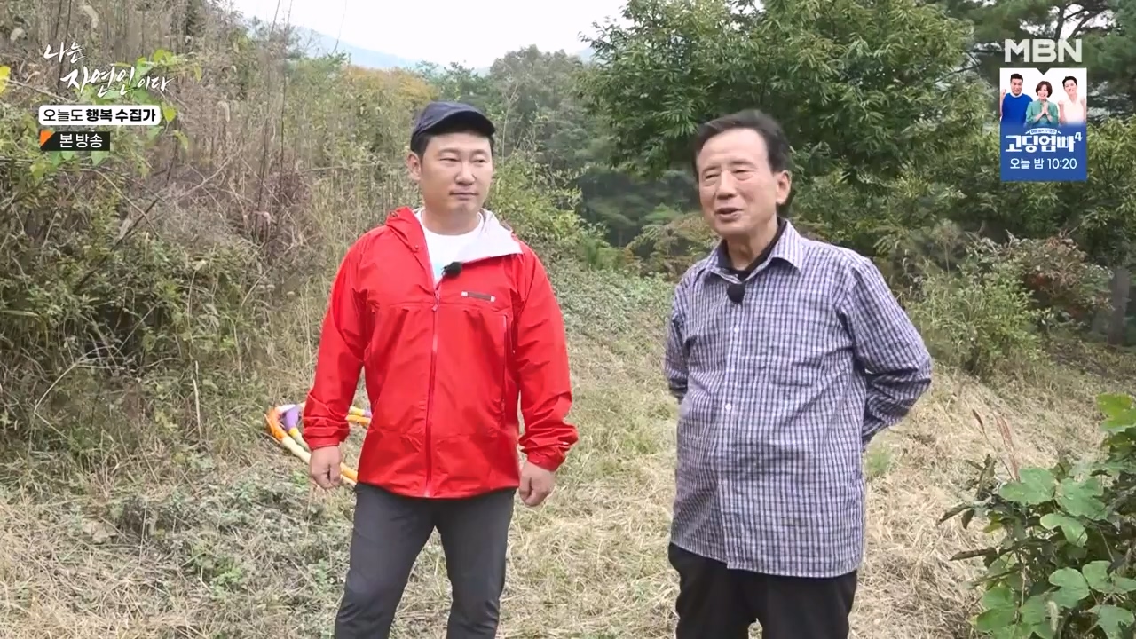 나는 자연인이다.E578.231102p-NEXT.mp4_20231102_202939.702.jpg