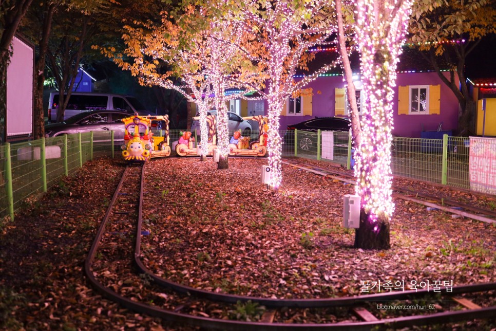 경북 축제 경북 아이와가볼만한곳 청도 23